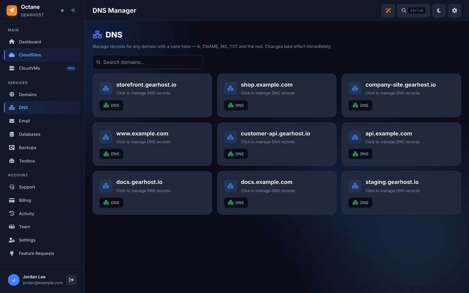 DNS manager in Octane